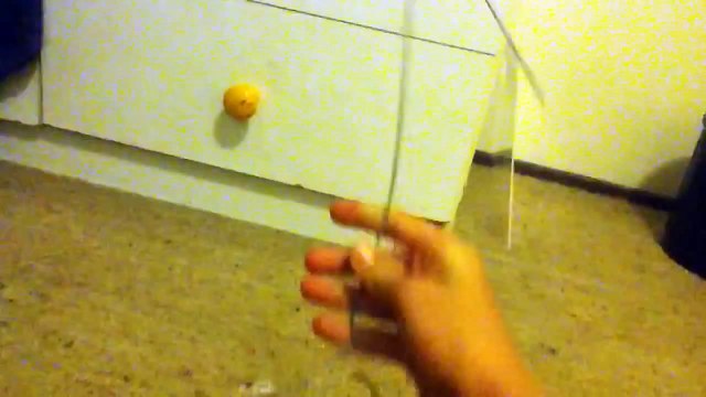 How to make a automatic egg turner for your incubator
