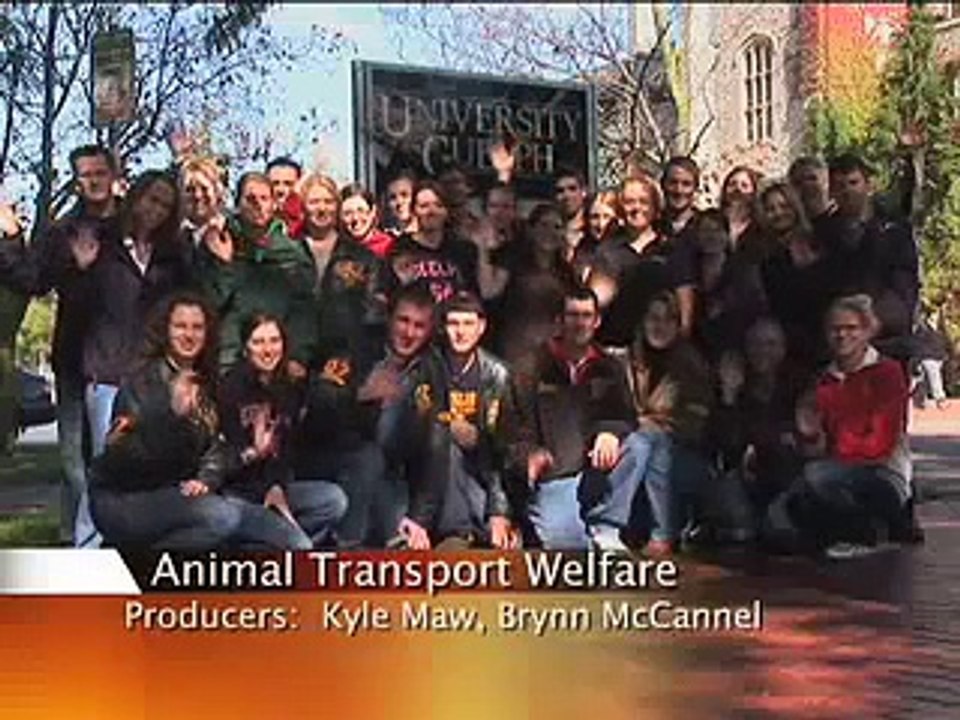 Animal Transport Welfare