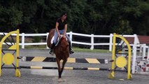 Haute Cheval 10 year old Oldenburg gelding