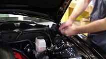 2005  Ford Mustang ROUSH Hood Prop Rod Eliminator Kit Installation