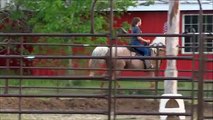 Awesome golden palomino roan Tennessee Walking Horse for sale