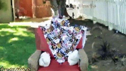 Funny Videos - Funny Cats - Funny Pranks - Funny Animals Videos - Funny Baby 2015