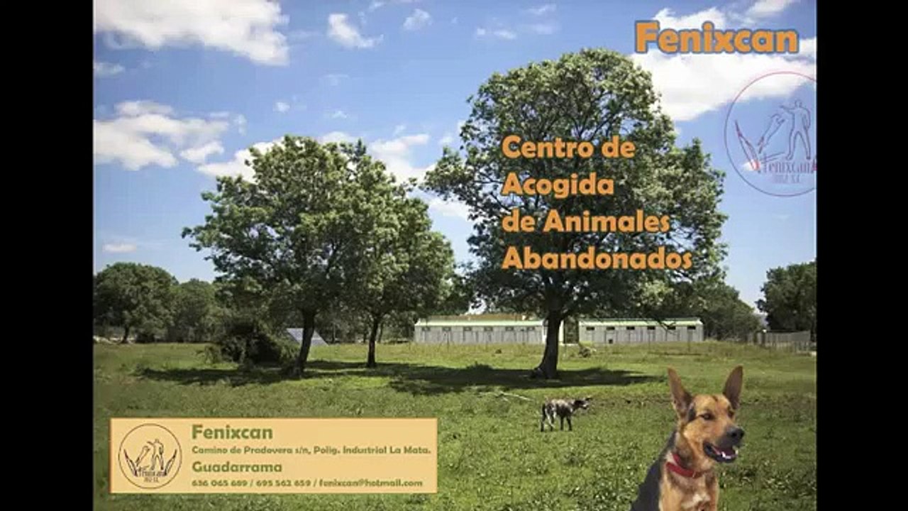 Fenixcan: Puertas Abiertas
