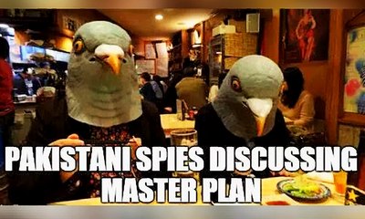 Social media on Pakistani Pigeon captured in India