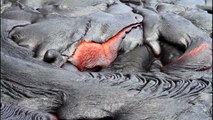 Flowing Lava in Hawai'i Volcanoes National Park, Hawai'i, the Big Island