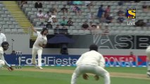 Incredible Diving Catches by Indian Feilders   Stopping everything on thieir way