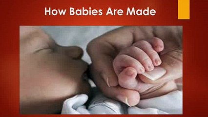 How Babies are made by dr malpani