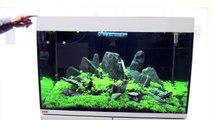 EHEIM Incpiria aquarium - presentation at InterZoo 2012