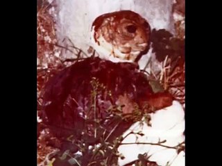 Paranormal creatures 3