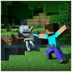 Awesome Minecraft Seed!!!