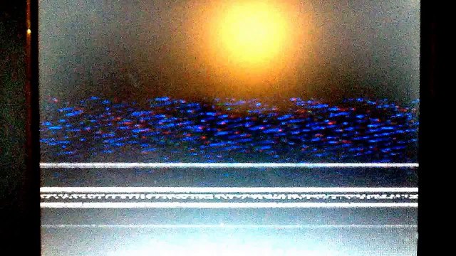 Opening and Closing to Walt Disney Cartoon Classics Silly Symphonies Animal Tales VHS 1986