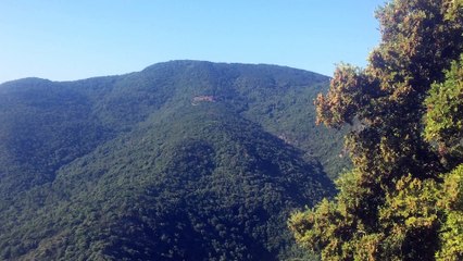 CHARTREUSE DE LA VERNE VUE DU COL PERIER VAR COTE D AZUR