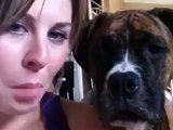 This dog does not care for your selfies!