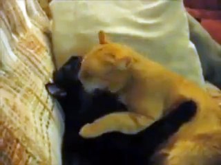 Hold you in my arms forever