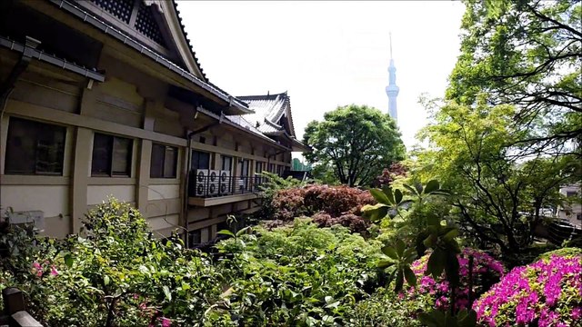 本龍院(待乳山聖天) 庭園 浅草 东京/Honryu-In Temple Garden Asakusa Tokyo/ 아사쿠사 도쿄