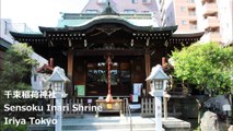 千束稲荷神社 入谷 东京/ Sensoku Inari Shrine Iriya Tokyo/센 조쿠이나 리 신사 이리야 도쿄
