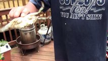 HOW TO STEAM LIVE MARYLAND BLUE CRABS