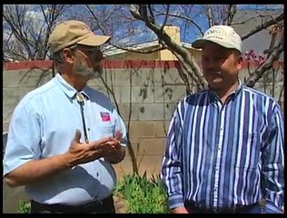 How To Prune A Peach Tree & Trim Raspberry Plants