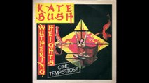 Kate Bush - Wuthering Heights [1978] - 45 rpm