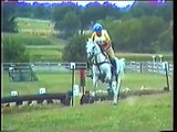 Special Memories trakehner show jumping  stallion- eventing cross country