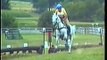 Special Memories trakehner show jumping  stallion- eventing cross country