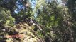 100 foot Cliff Jump - Lynn Canyon Gateway