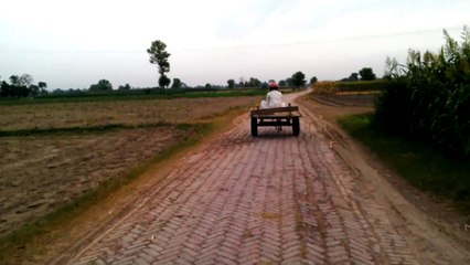 A funny man wearing helmet on donkey cart hahaha