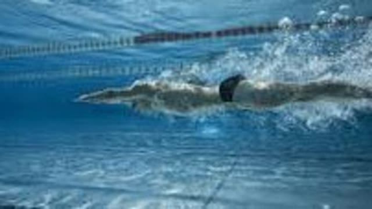 Schwimmen als Wettkampfsport