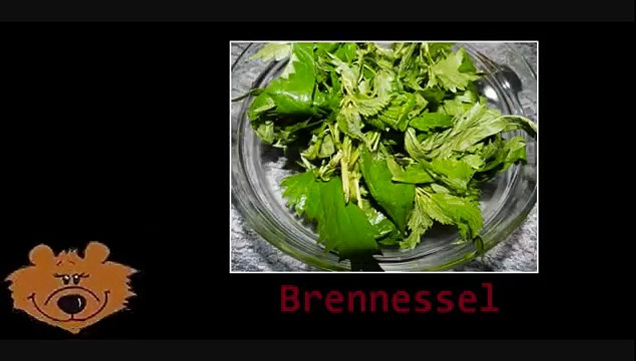 Bärklärung Kräuter Teil 1