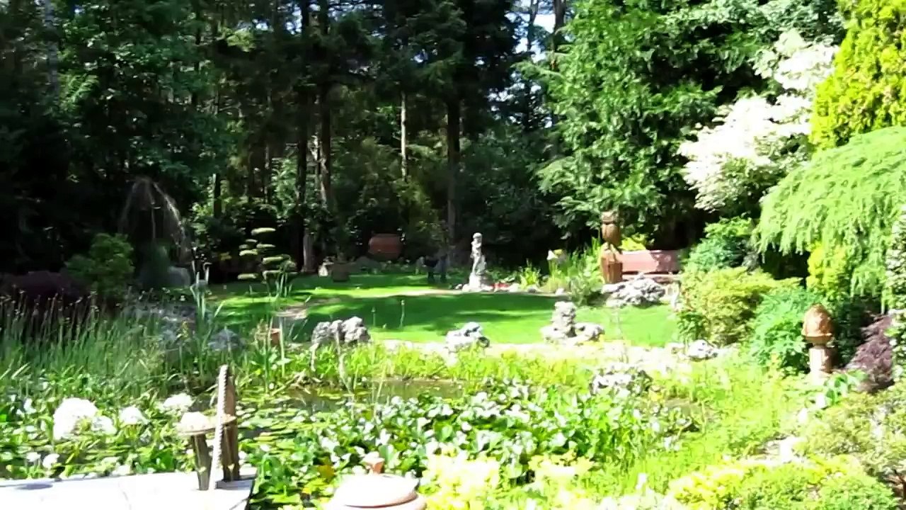 Rana kl. esculenta@Heilshorn, Germany - Final Version 2010