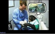 Dentist in Downey for children. Kirby Takes The Seal Out Of Sealants