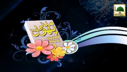 Madani Phool - Ghar e Saur Say Jamahi Kay Muta-alliq