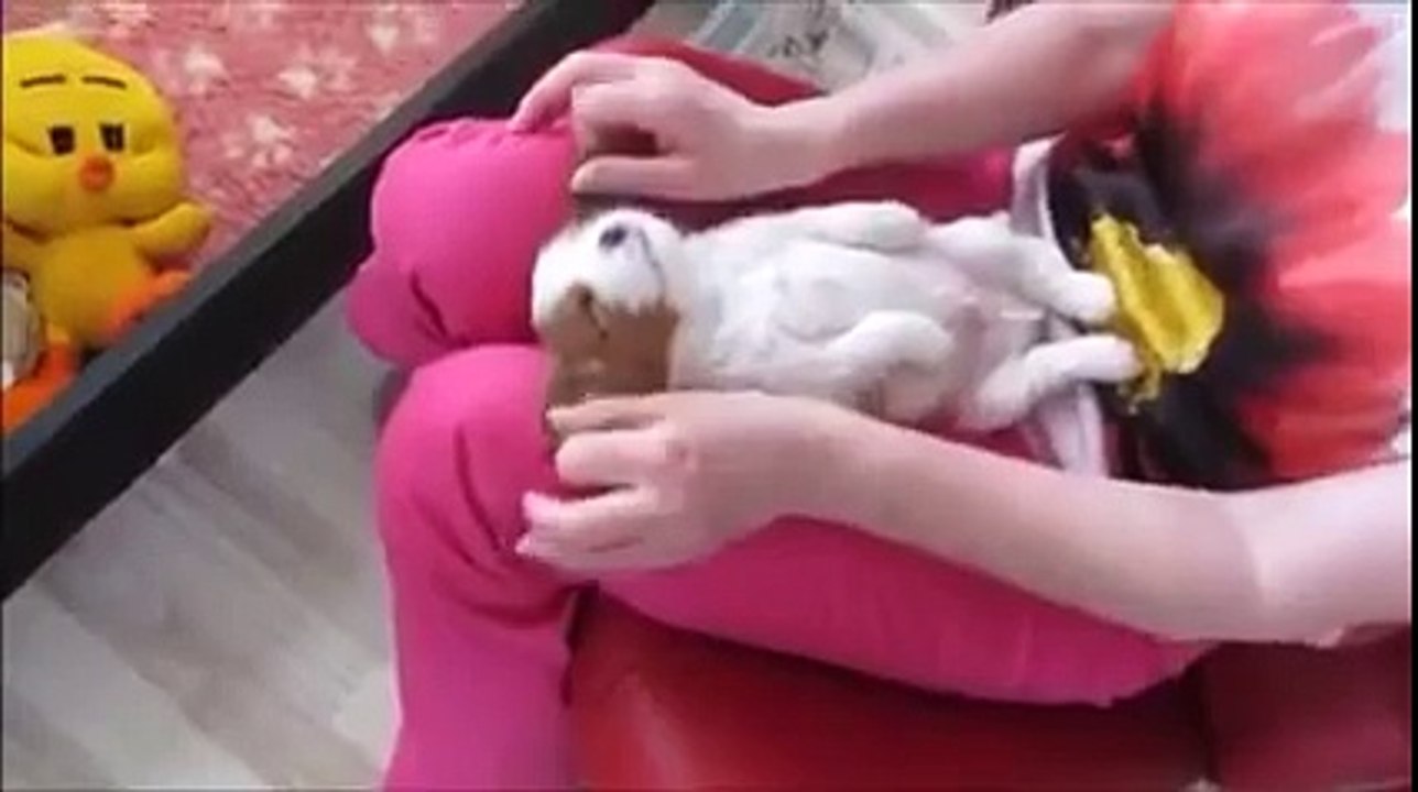 This is too cute