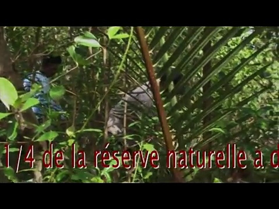 Le programme "Environnement & Développement" en Indonésie -  Plantez un arbre (Planète Urgence 2008)