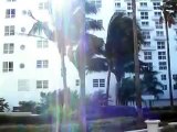 The Palms of the Hotel St. Moritz ~ Miami Beach, Florida