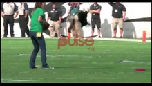 Amazing dog displays tricks at football game - laughing colours, pulse tv uncut