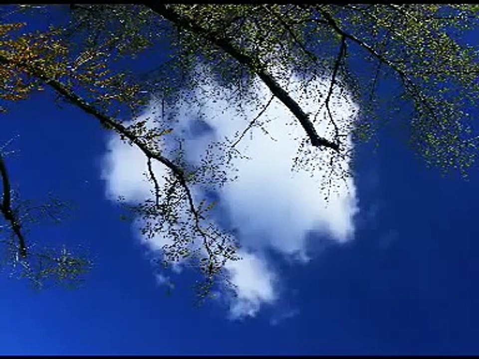 Nimbus - Ralph Towner
