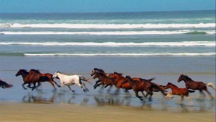 Home and Away Season 1 Episode 1 - 229