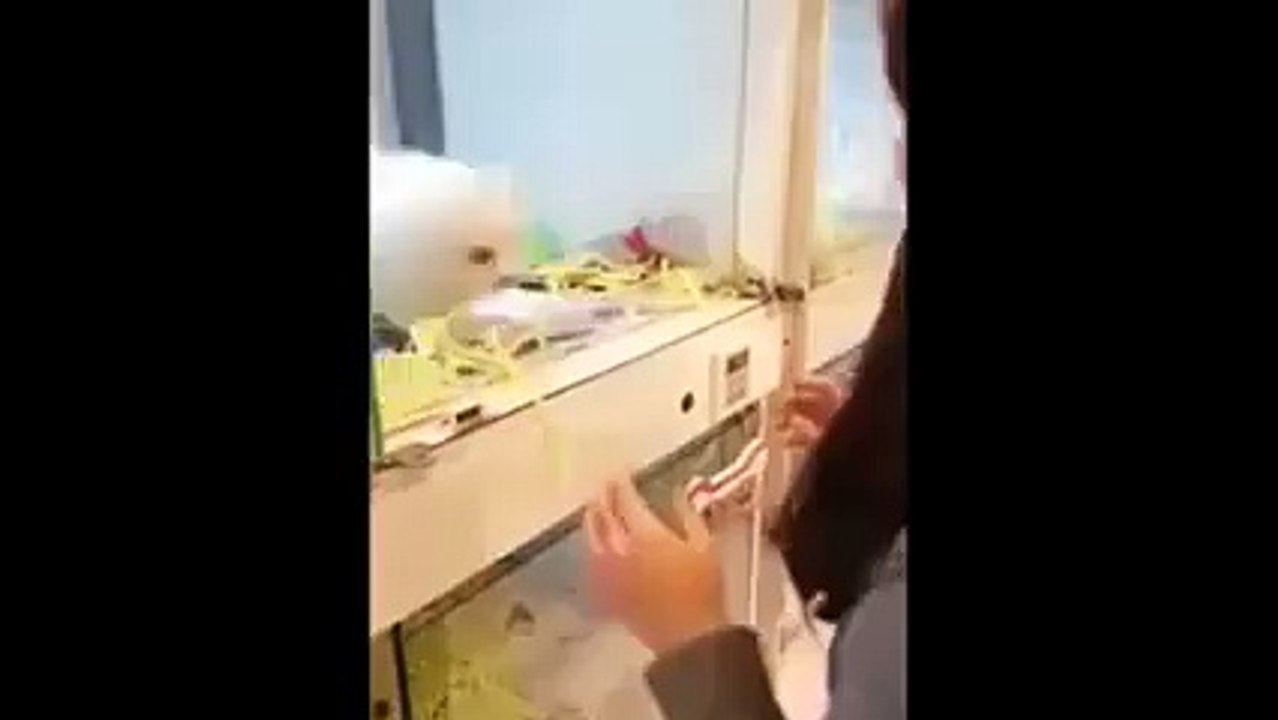 Cutest dog ever