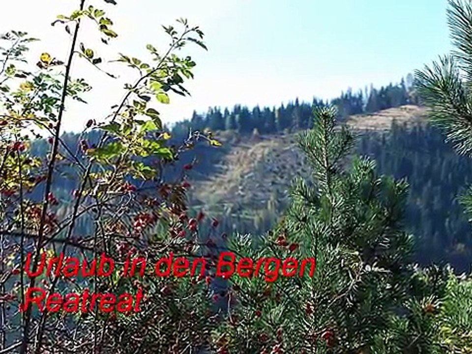 Urlaub auf der Alm