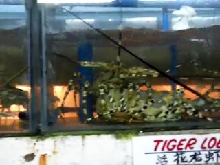 Seafood Market Manila, Philippines