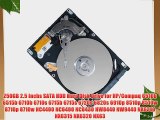 250GB 2.5 Inchs SATA HDD Hard Disk Drive for HP/Compaq 6510b 6515b 6710b 6710s 6715b 6715s