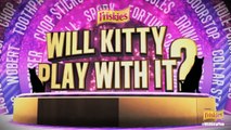 Digger the Cat & Spork on Friskies Cat Game Show - Will Kitty Play With It?