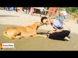Sunny Leone Takes Care of an Injured Stray Dog
