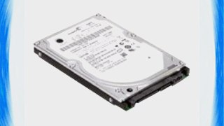 Lenovo 2.5-Inch 500 GB 2 MB Cache Internal Hard Drive 0A65632