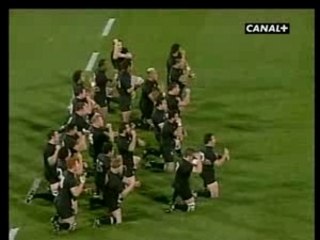 Haka all blacks égorgement