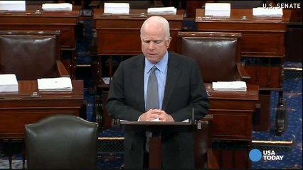 John McCain: NFL should return military tribute profits