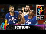 Lithuania v France - Best Block - 2014 FIBA Basketball World Cup
