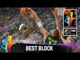 USA v Lithuania - Best Block - 2014 FIBA Basketball World Cup