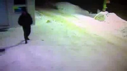 Hey old man, Have You Seen My Friends (crazy cat looks for directions)